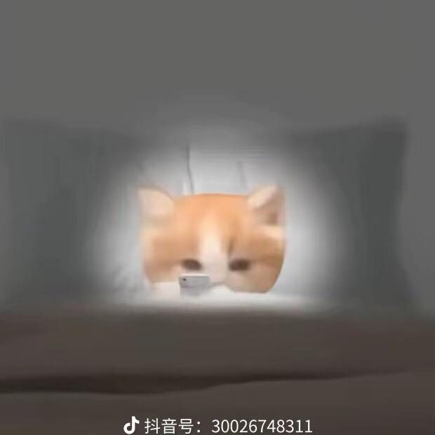 哈哈哈哈哈哈哈🐬