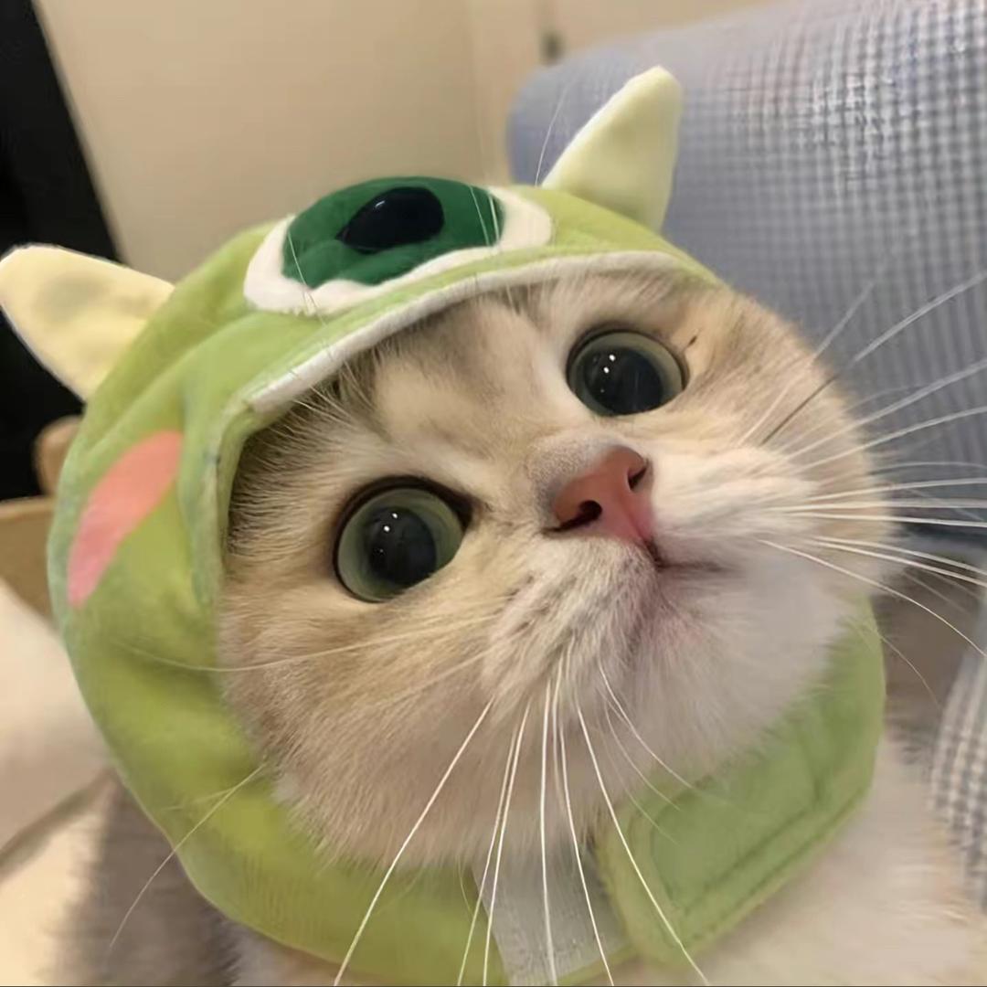 亿香食品   庄欣铠