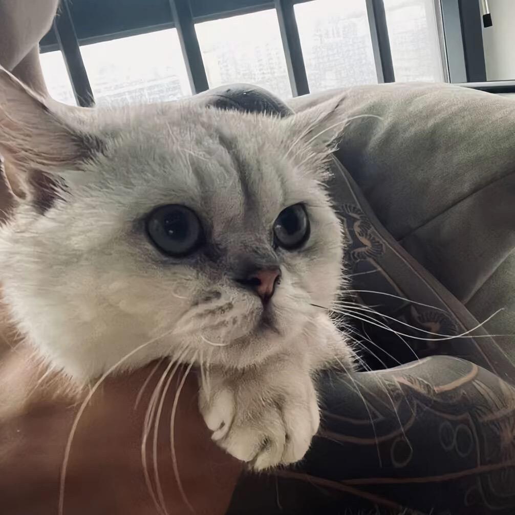 tiny spot