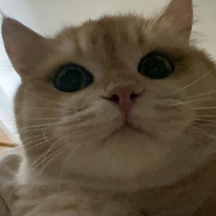 12356789