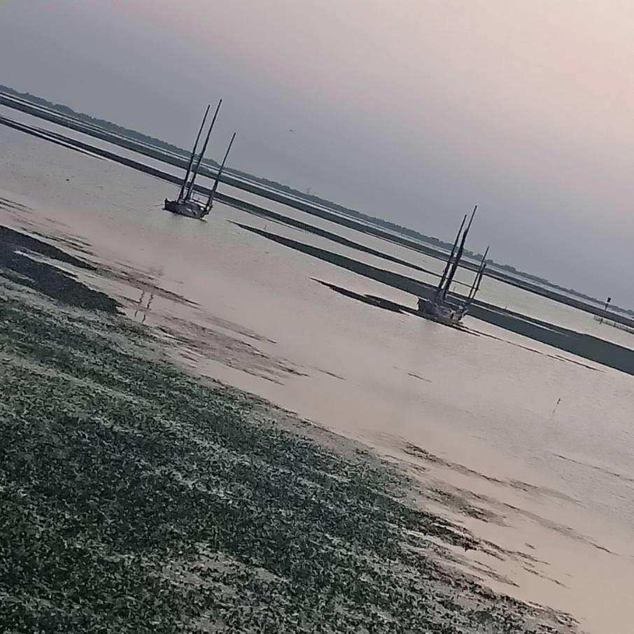 曲阜孔阳