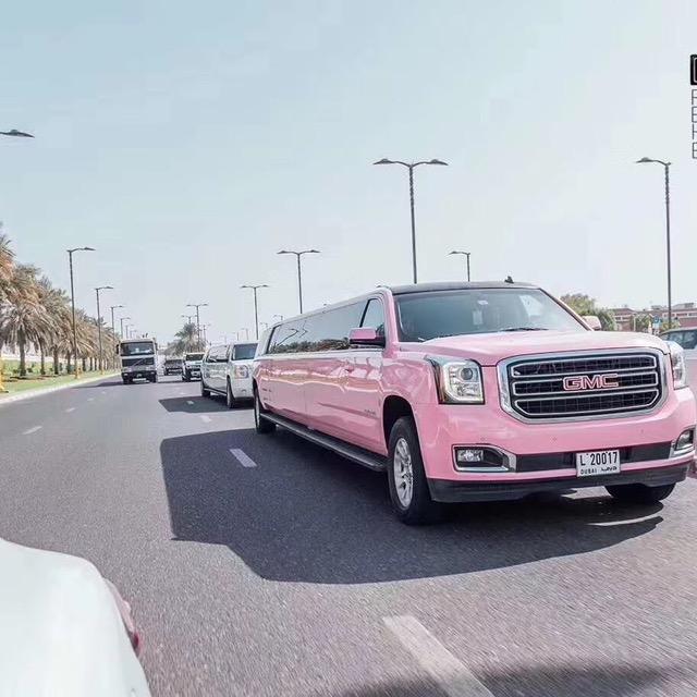 西西追剧