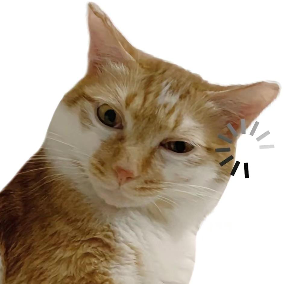 情绝、