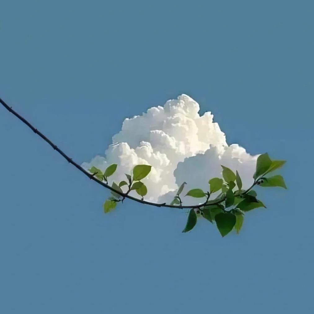 酥个辣滴