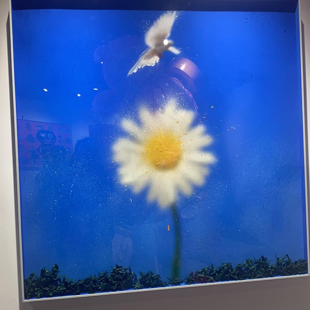 狐里狐涂