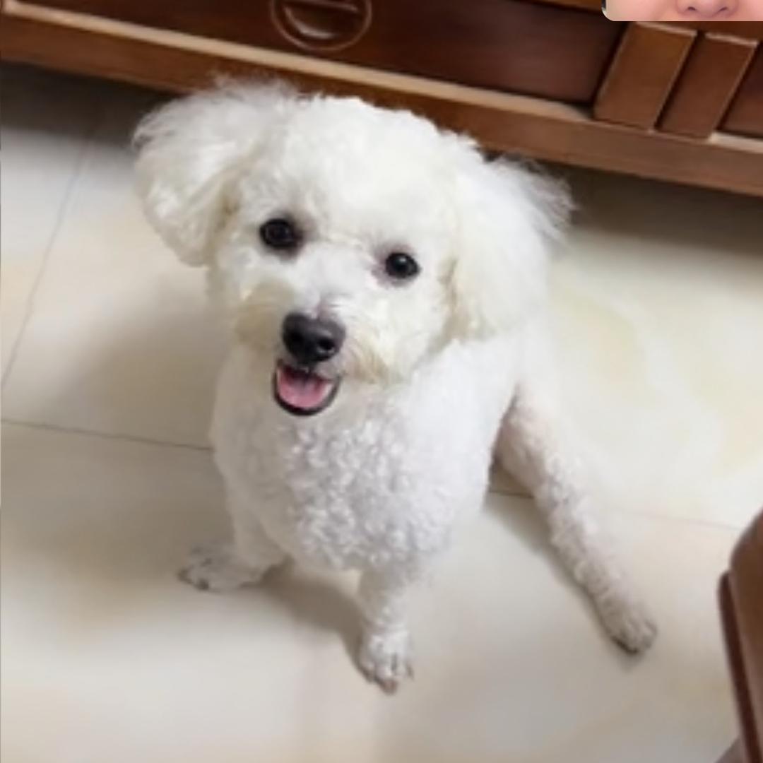 用户94934845348