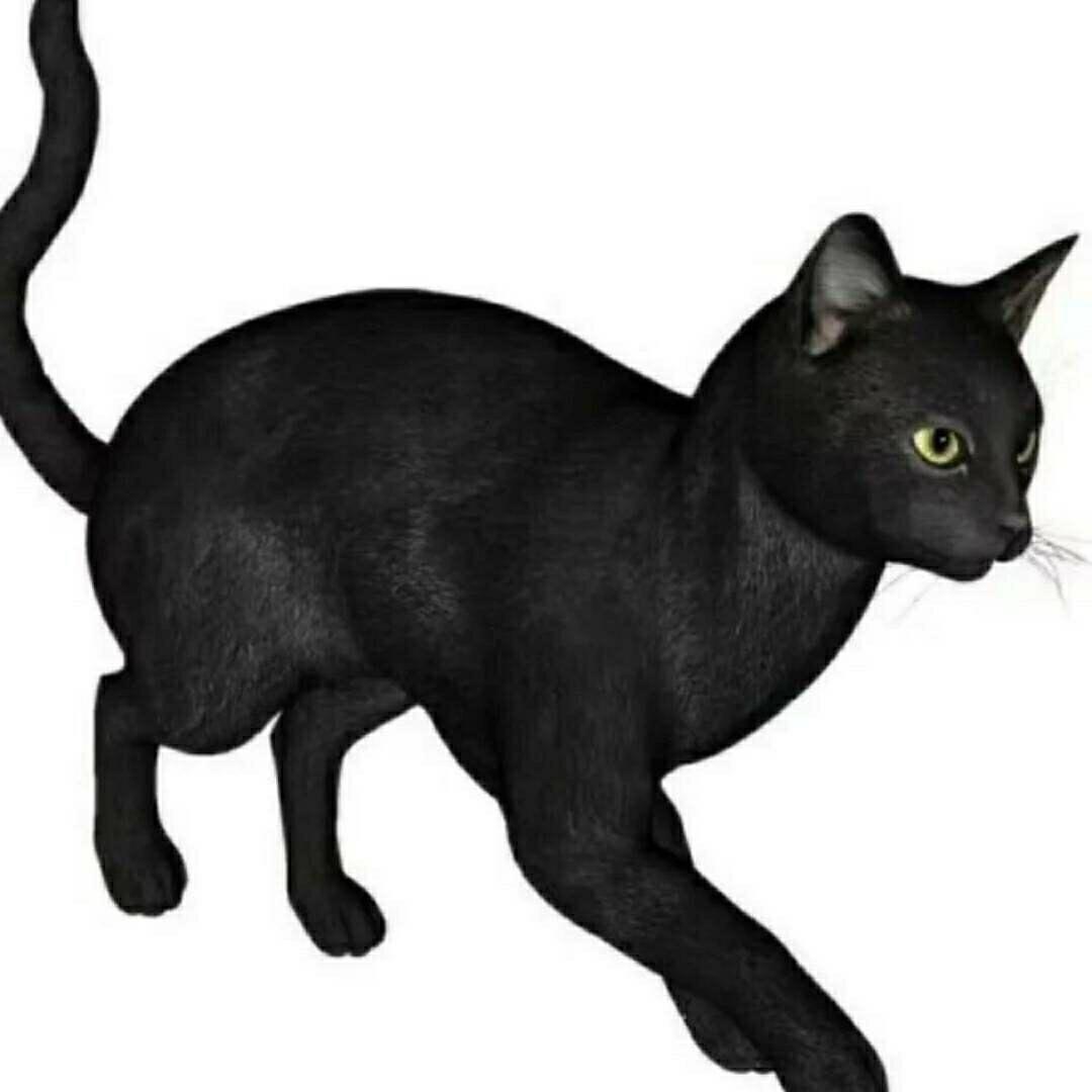 @霸王龙还是迅猛龙