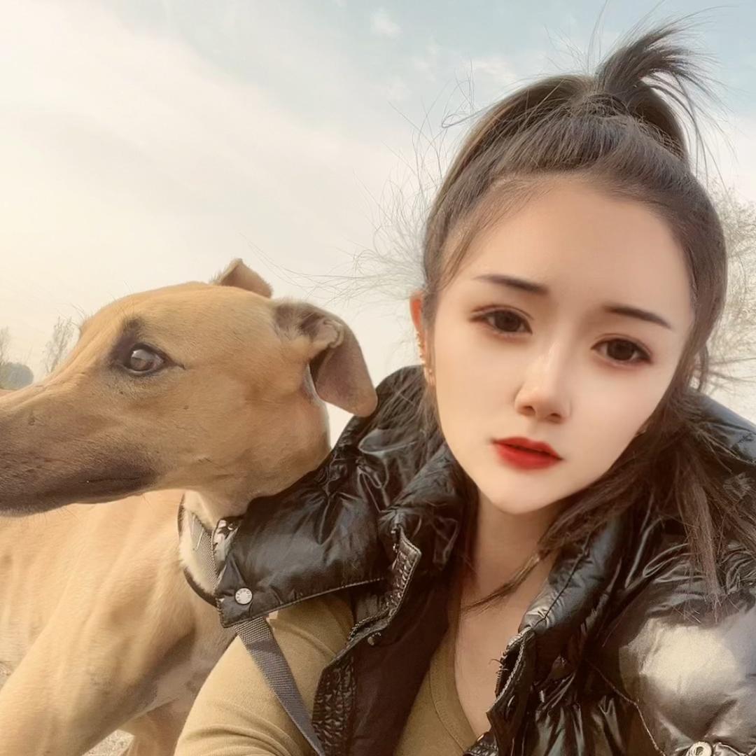 天津四哥犬业