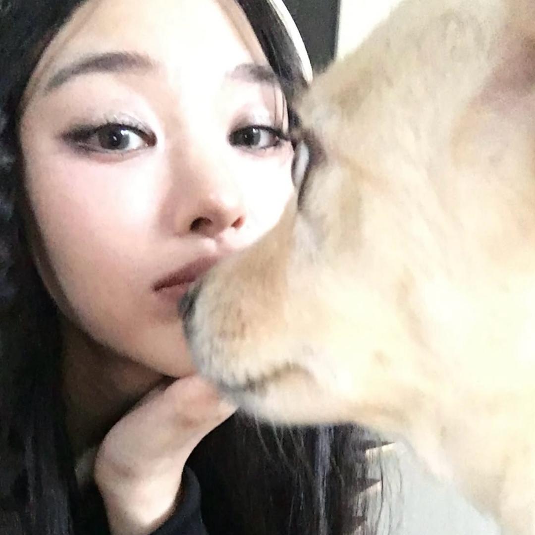 悲伤青柠鱼不悲伤🍋‍🟩