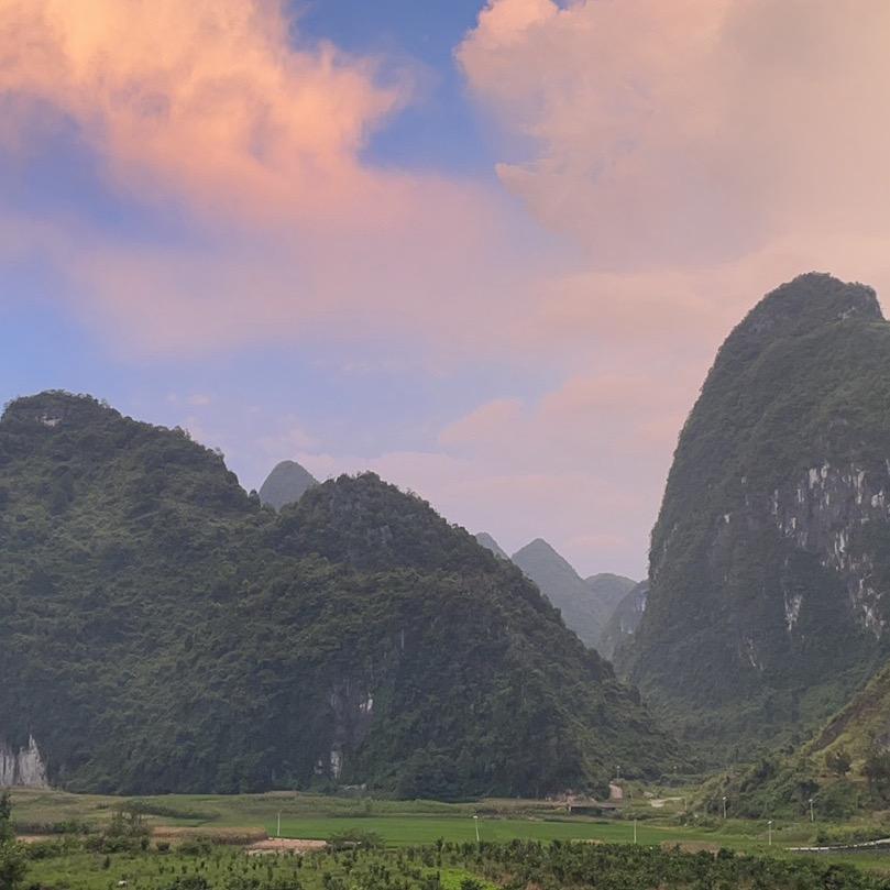 （原鲜）1号直播号