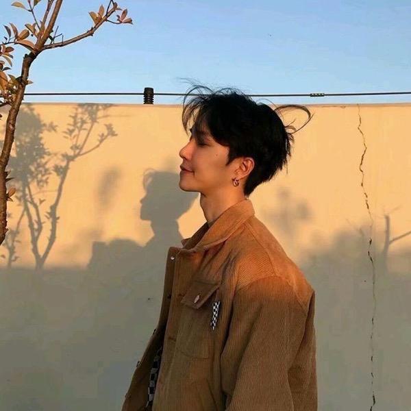 三块木头🪵