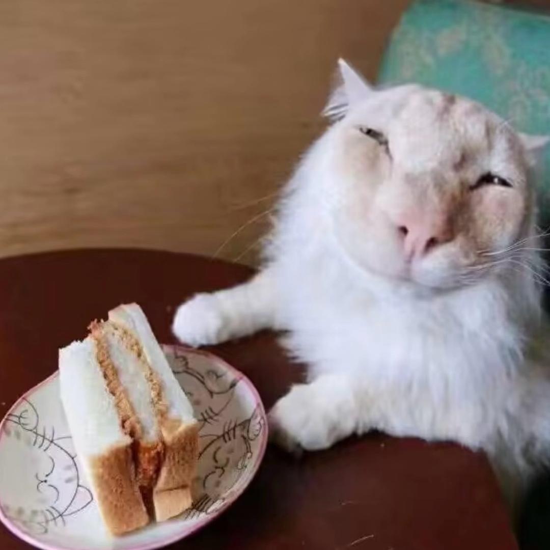 曦໊້ཽཽཽྀྃۖ໌ۣ