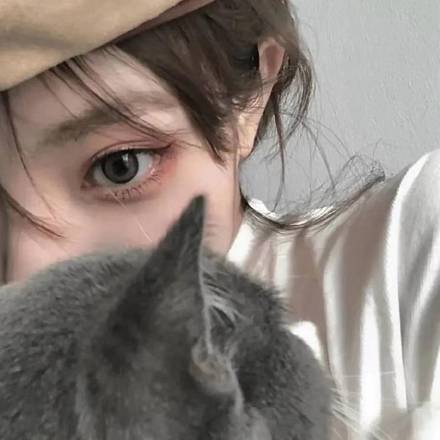 黄玫瑰✨