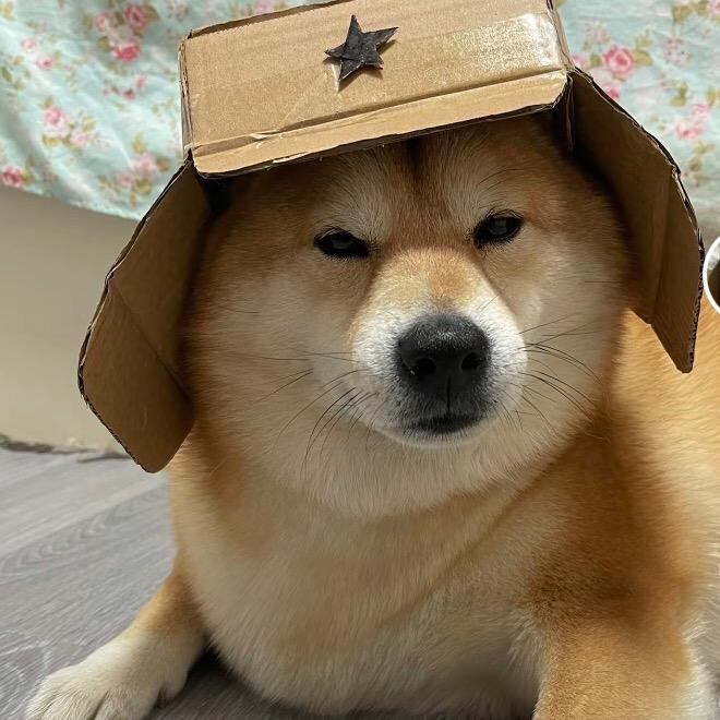 撈哶䩲墊