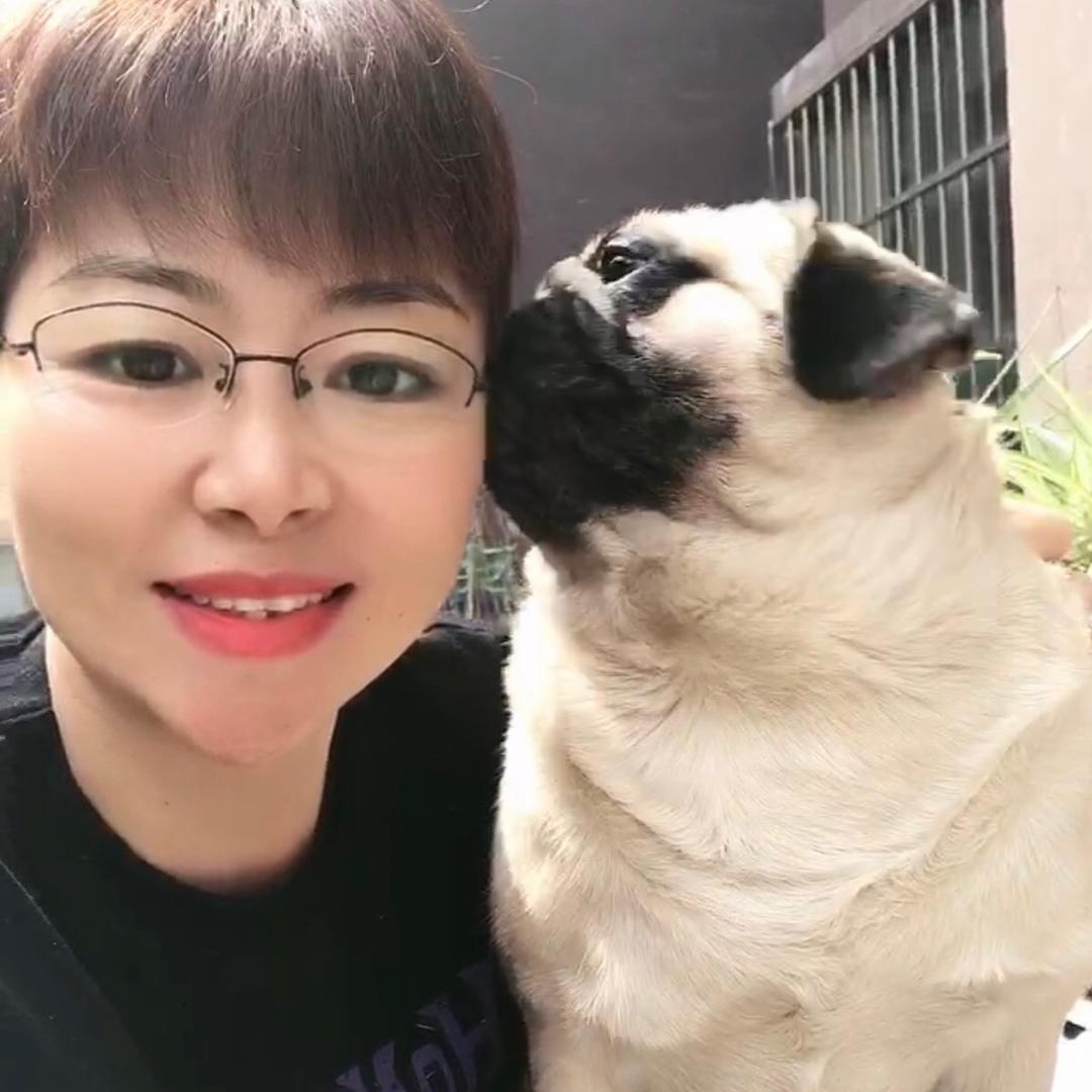 八月十五