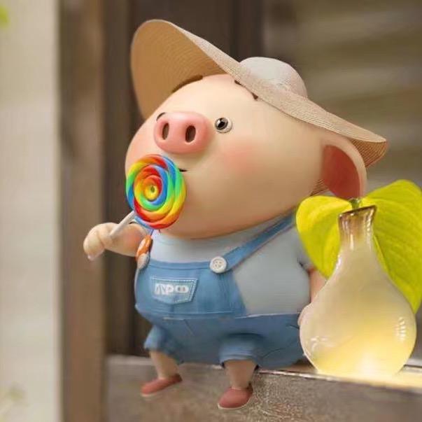 掌上明猪🇨🇳