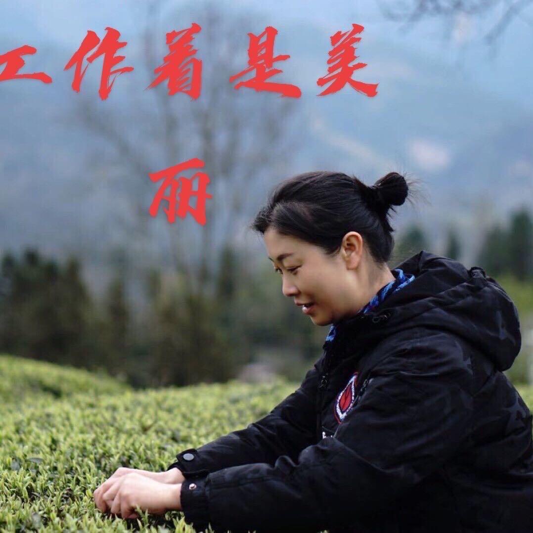 御景茶庄园恩施玉露 硒茶 红茶