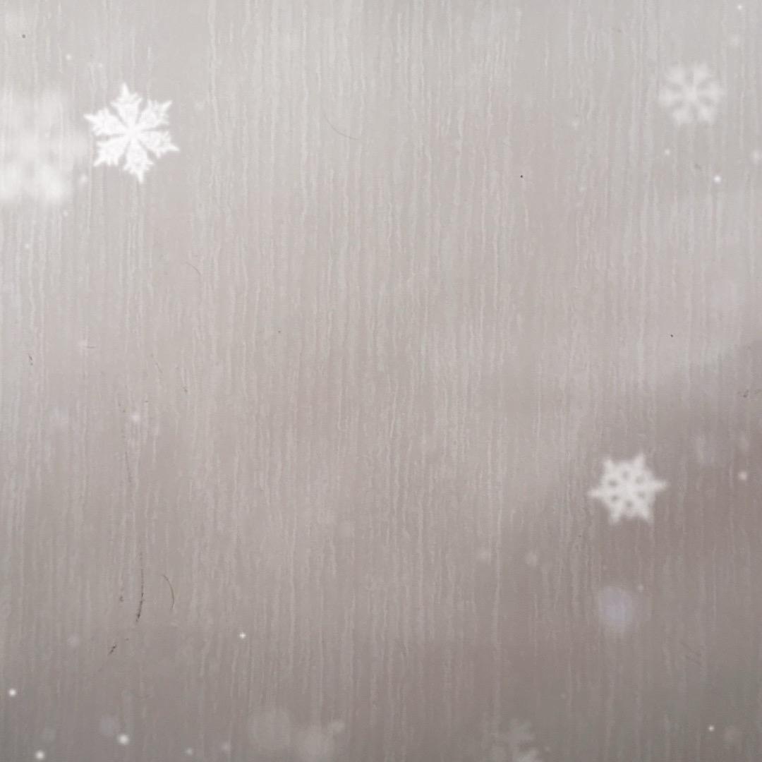 南极
