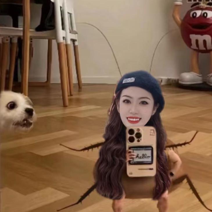 全世界种满猪蹄儿