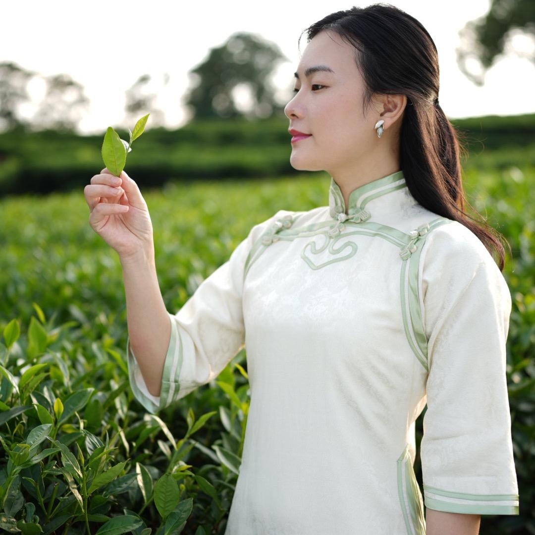 福鼎农山茶业·白茶丹