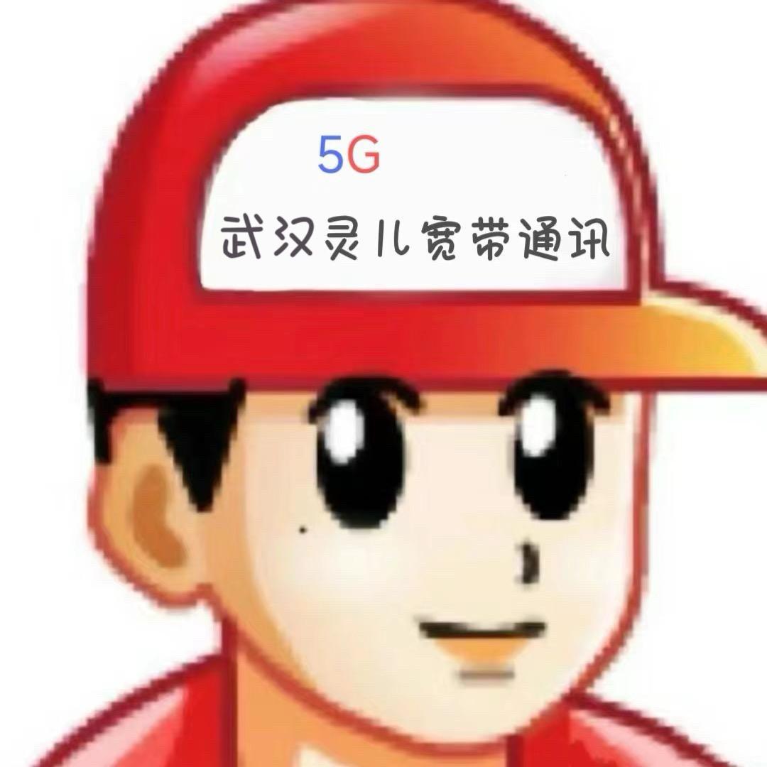 武汉灵儿宽带视能通讯