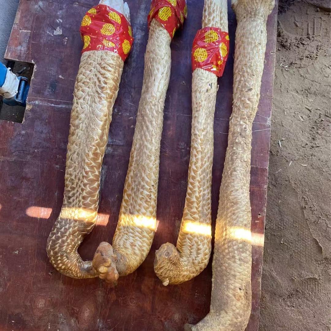 维央立青专卖店