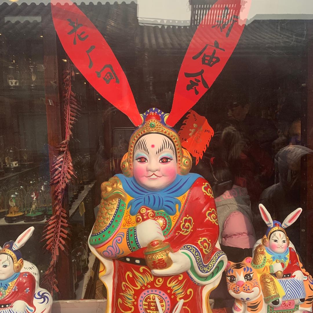 大猫探北京