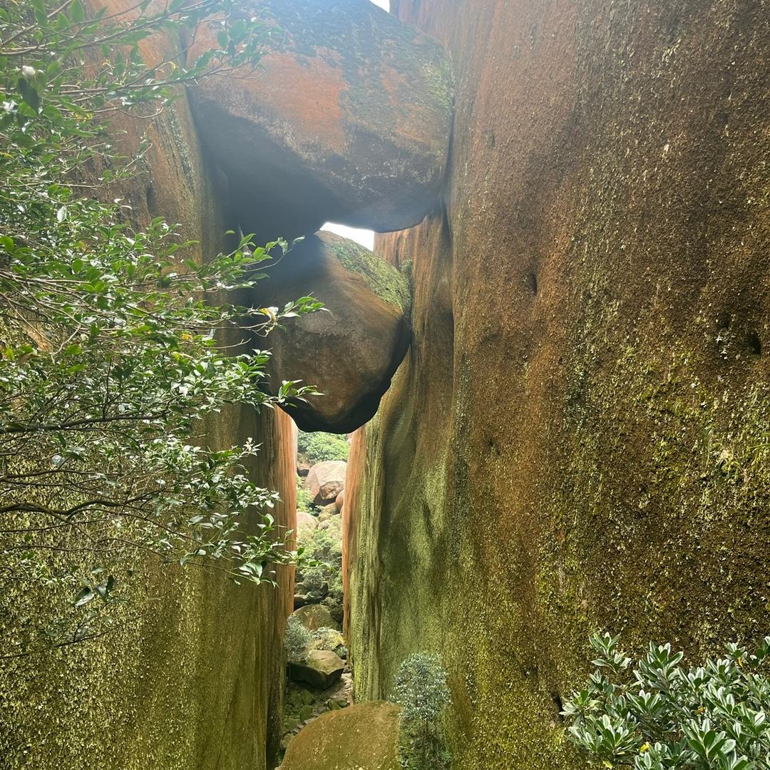 蒋居士