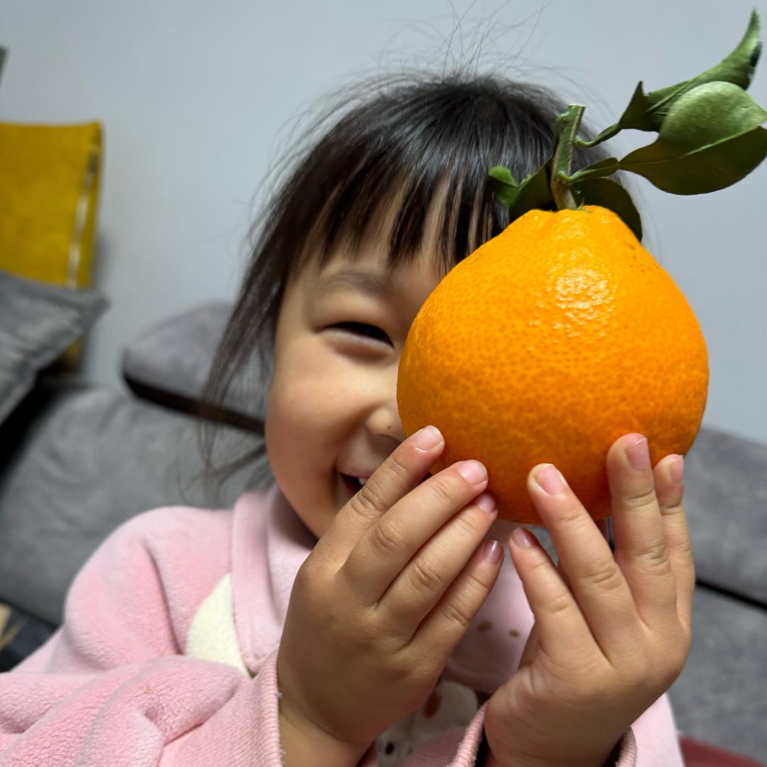 我就是活宝