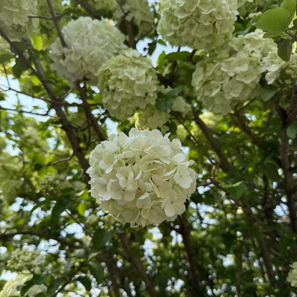 万李挑一