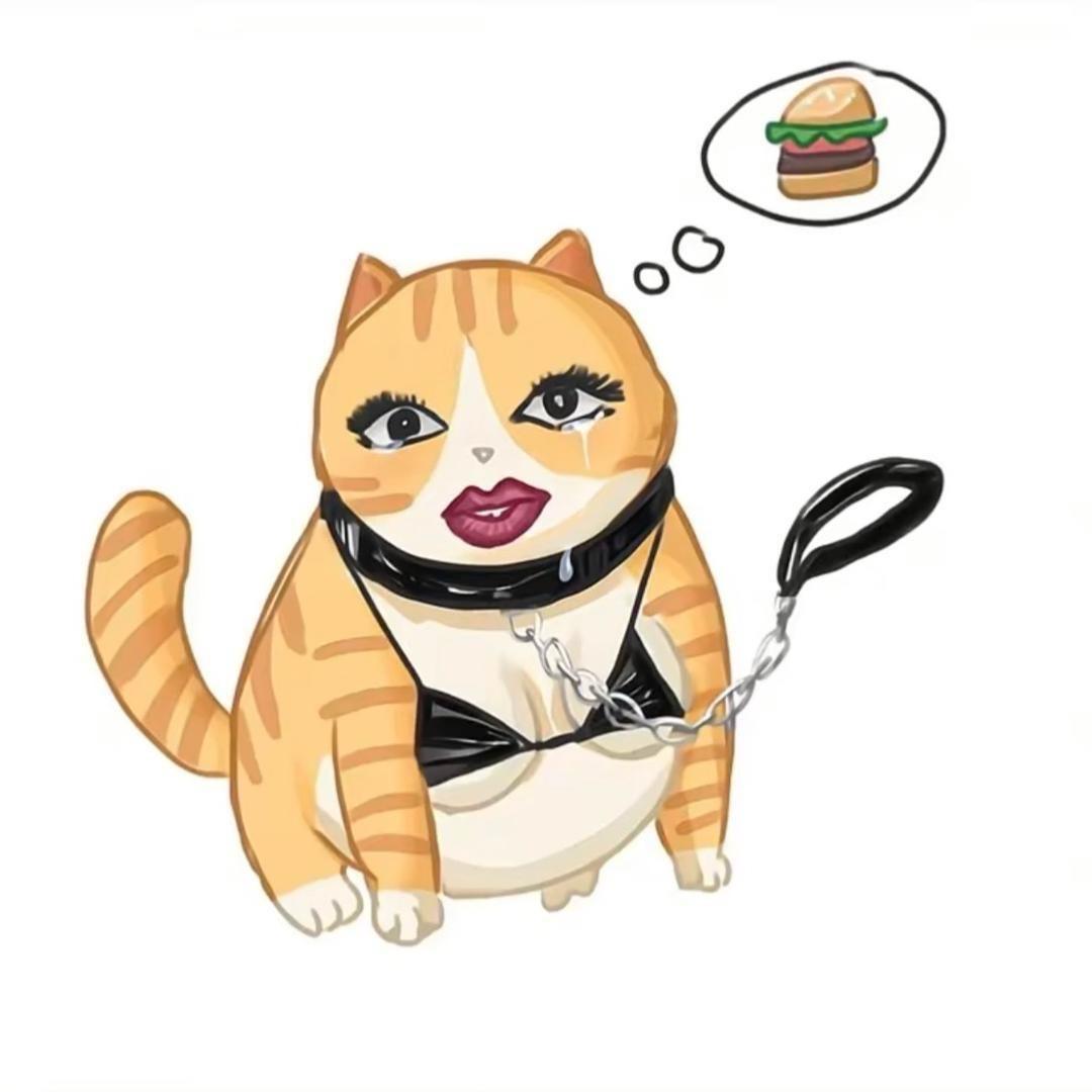 萝莉野猪酱