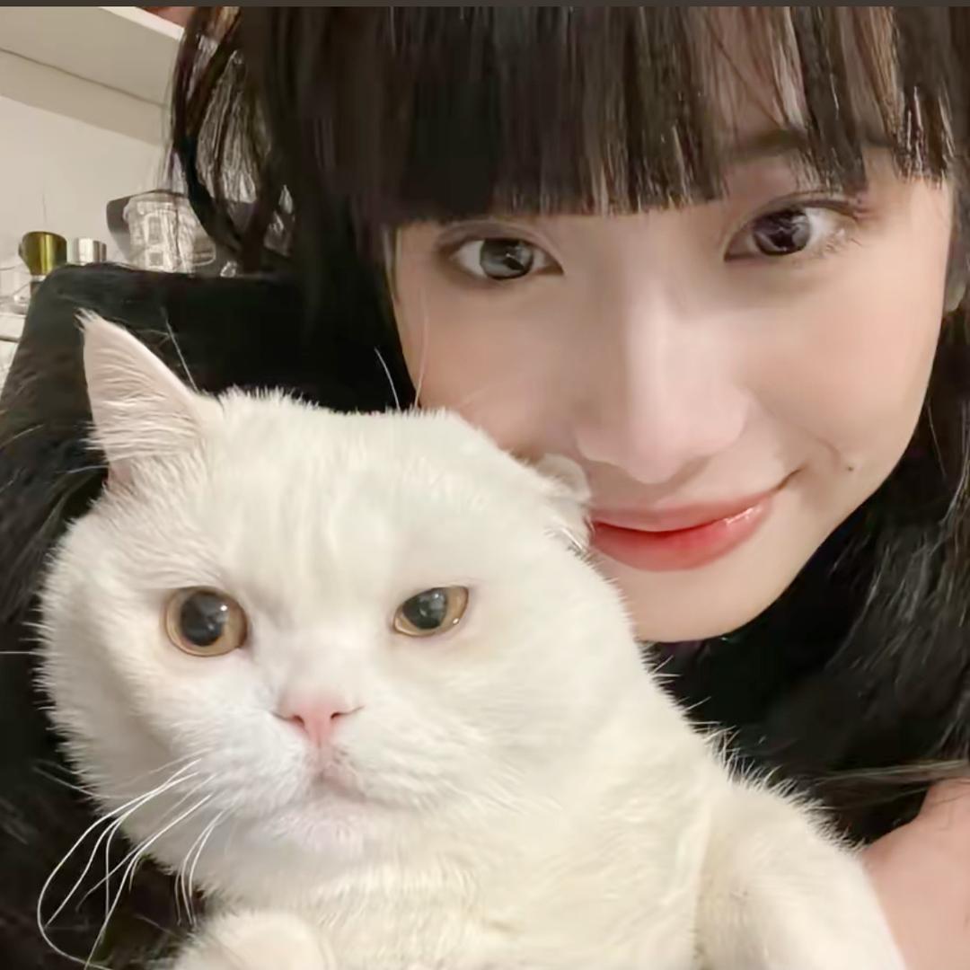 兜兜是👧(孕期版)