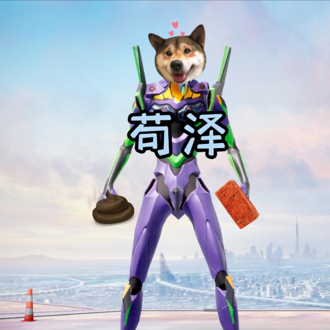 苟泽学长