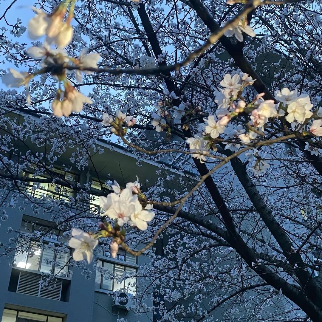 ꉂꉂ(ᵔᗜᵔ*)三宝妈