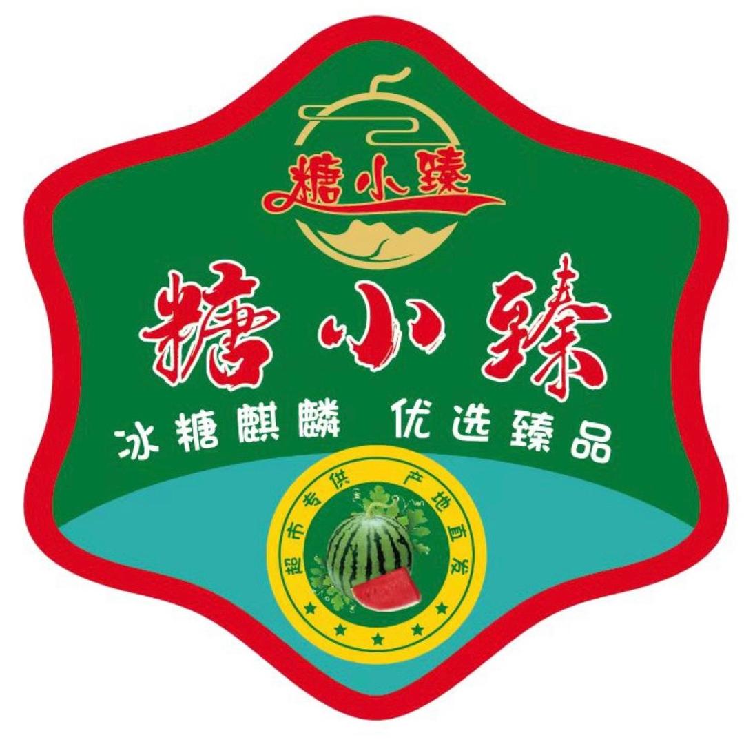糖小臻麒麟西瓜生姜代办（刘祥产地直发）