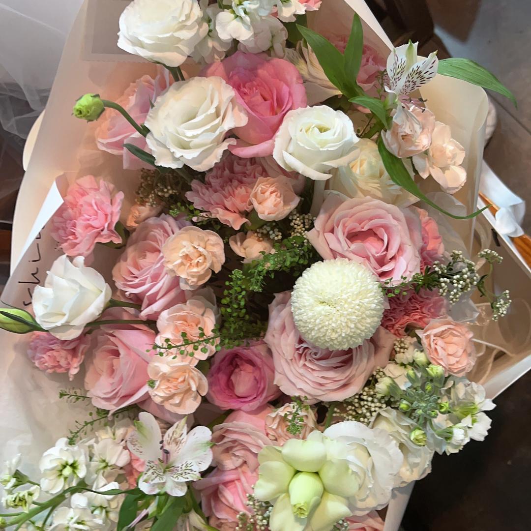 小白宝的日常生活