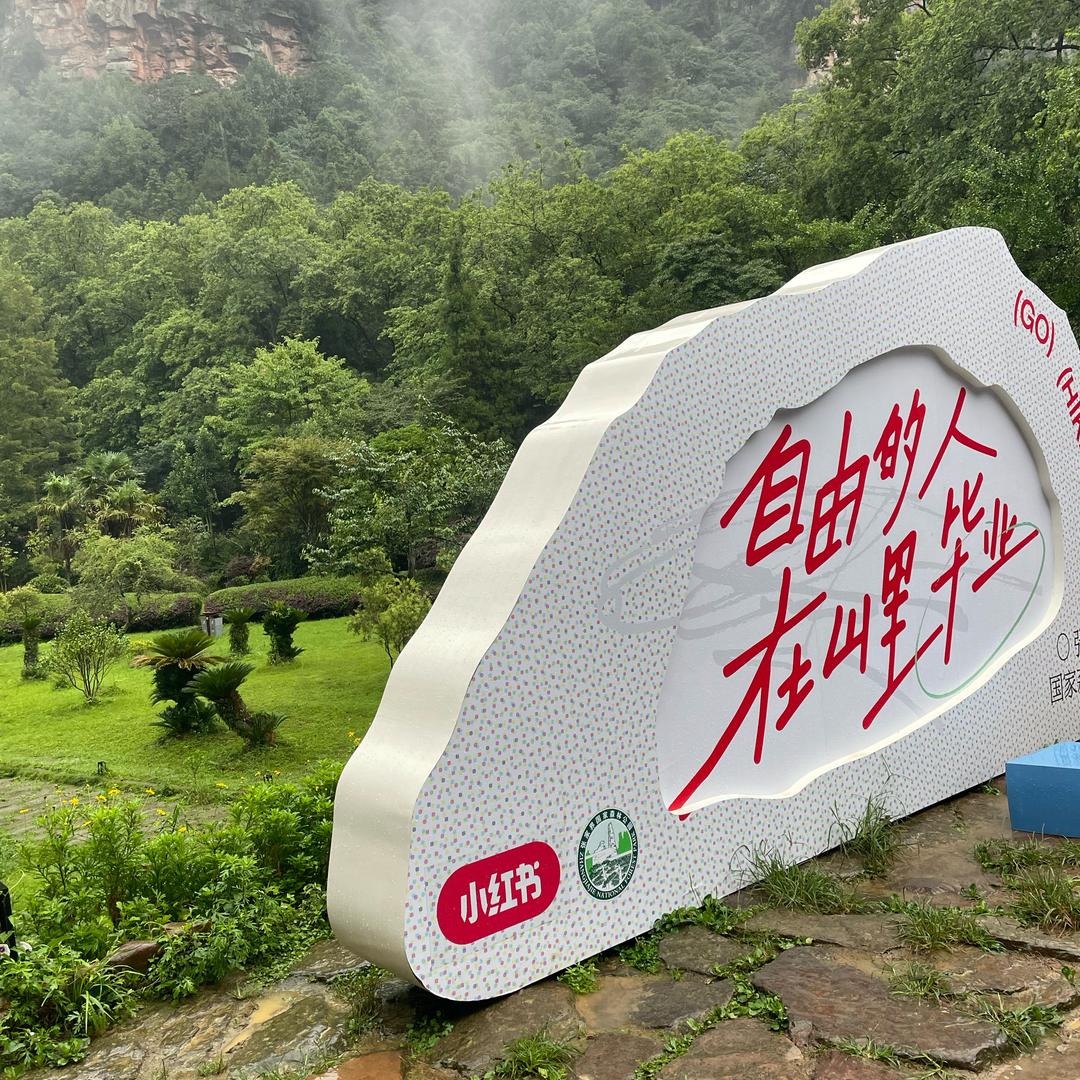 挚爱风雨行