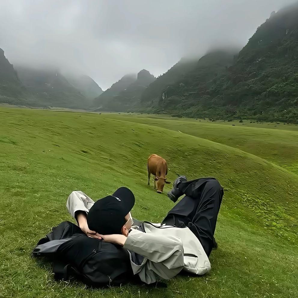 （铁板✴炒饭