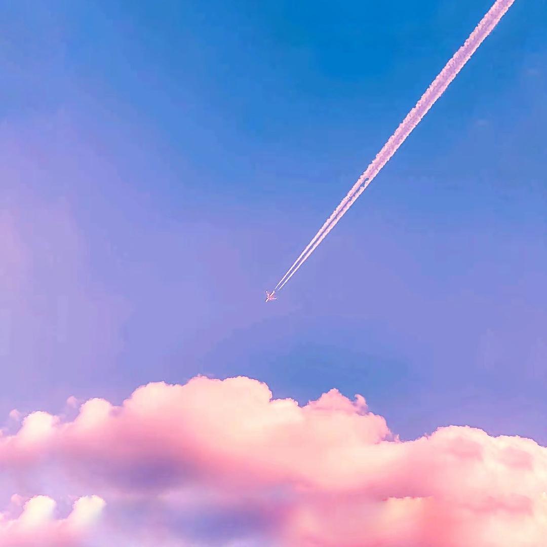 𝘈𝘭𝘪𝘯𝘨✨  ོ
