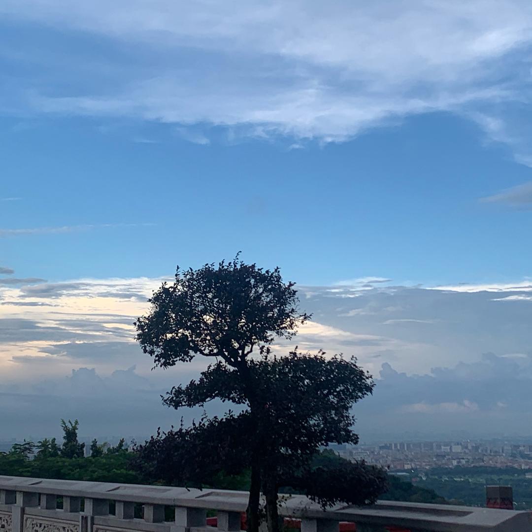 🌈杰克这个呆瓜