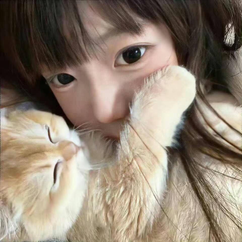 零加一加一