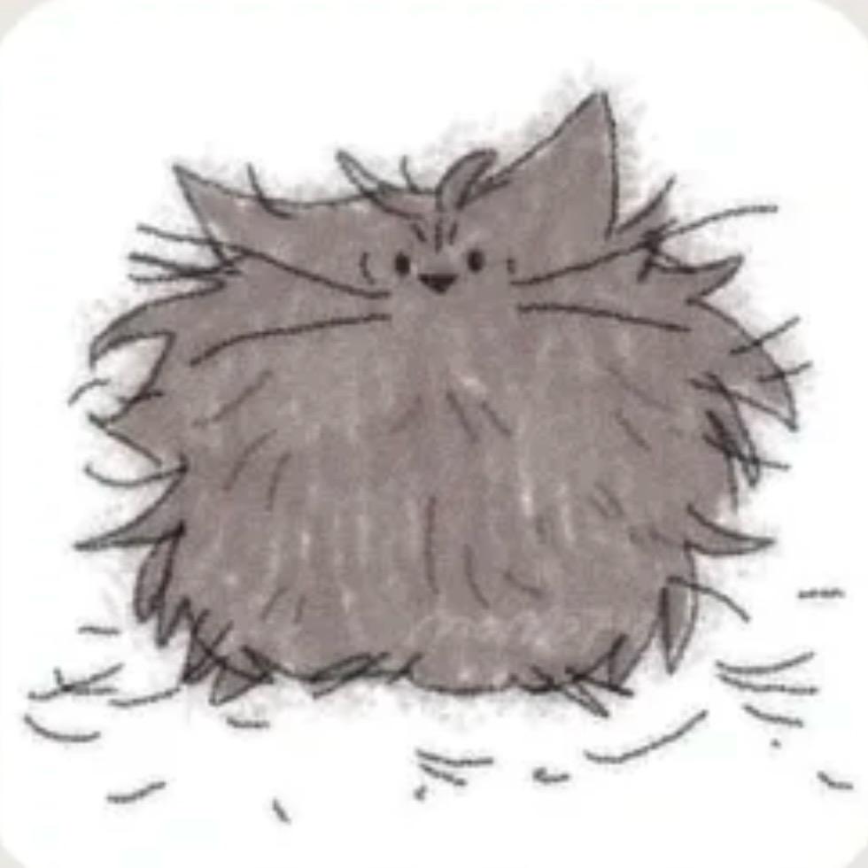 不吃香菜🌿🌿