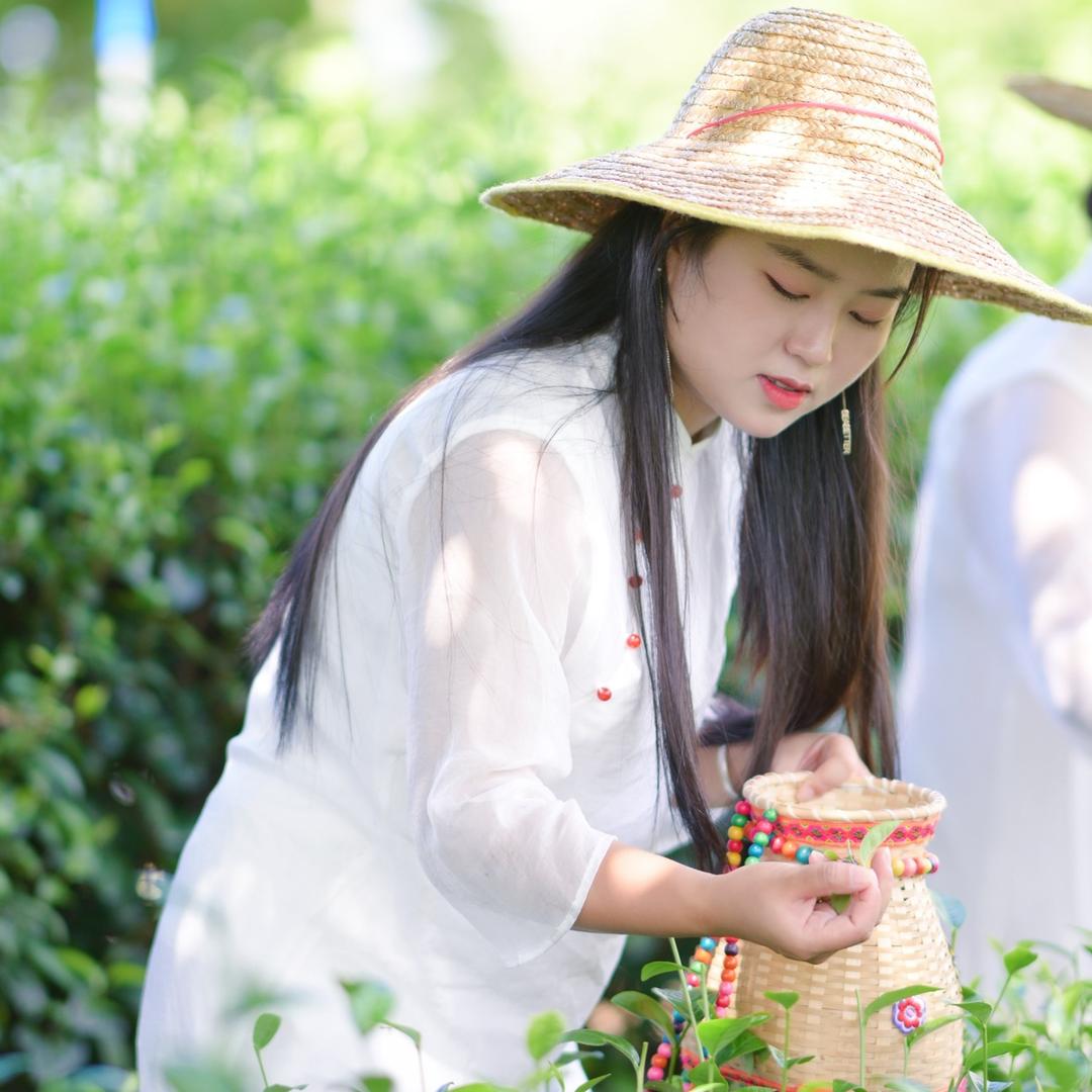 素者福兰🌱