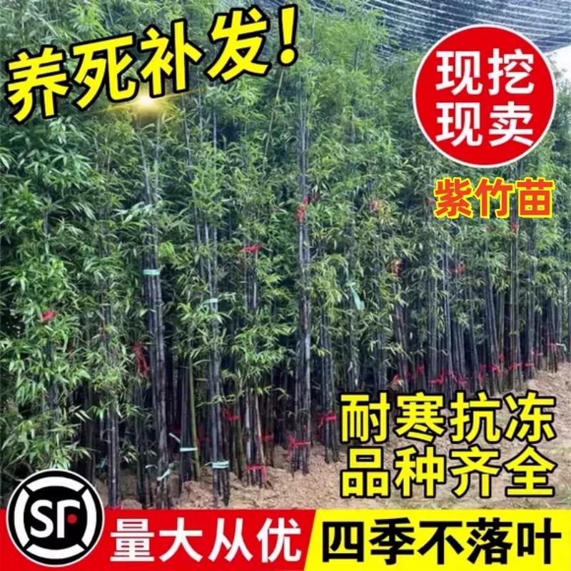 品上花卉