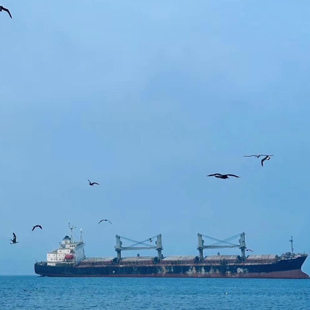 数学（任）（大家点点关注🙏）