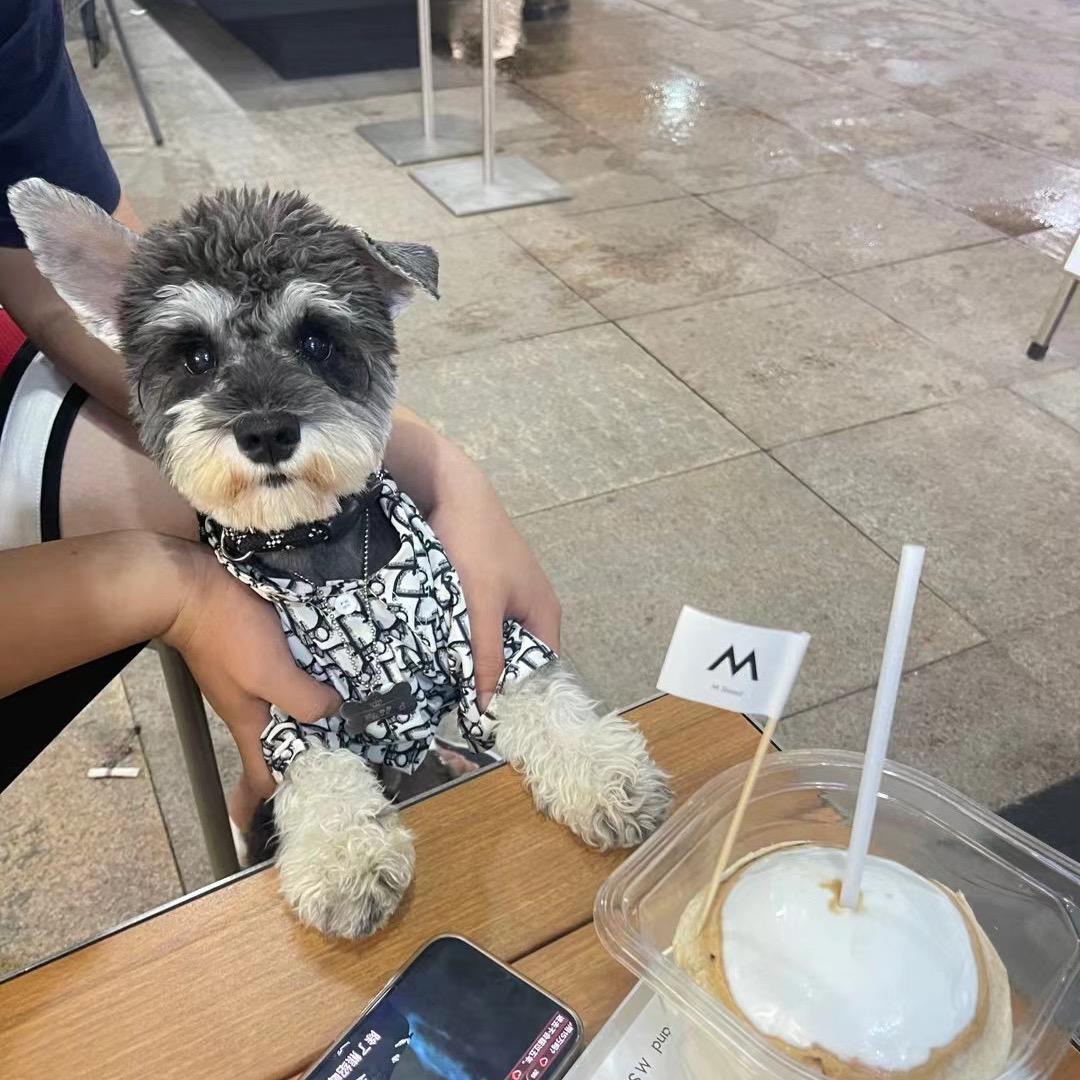 串串羊肉串🐶👻