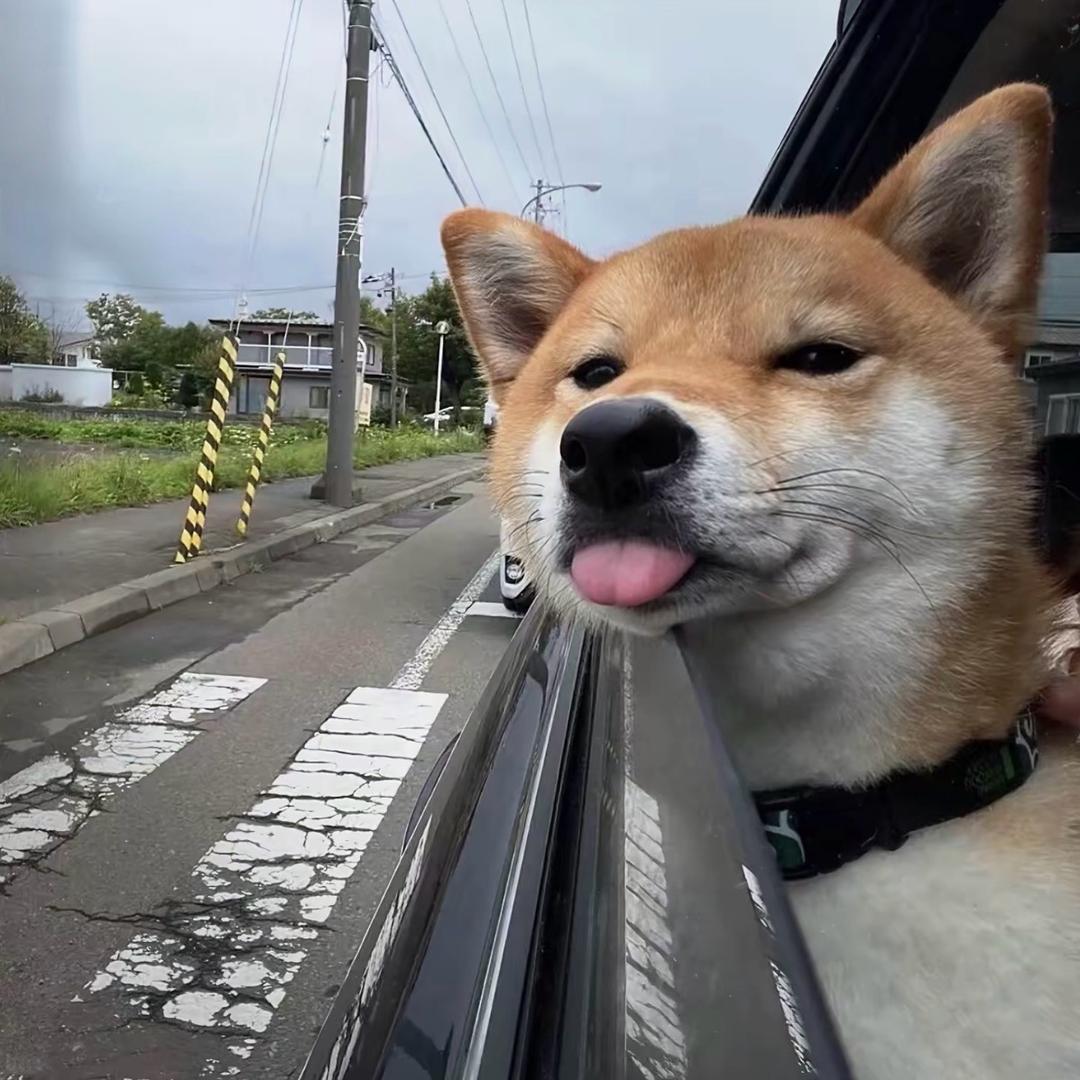 章续
