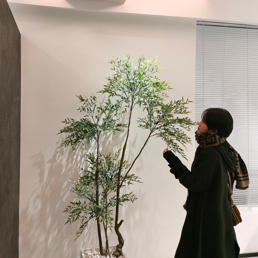 三木空间设计