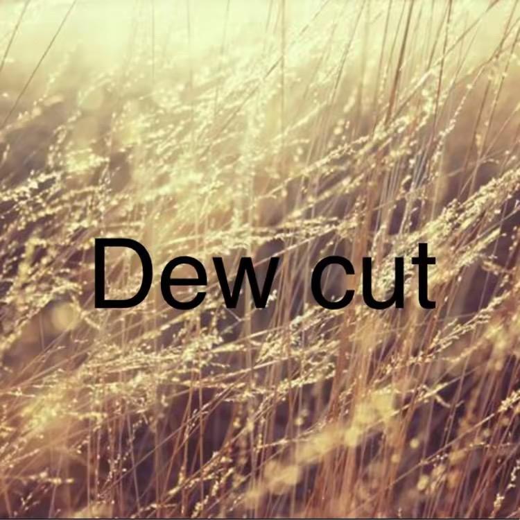 露咔Dew cut