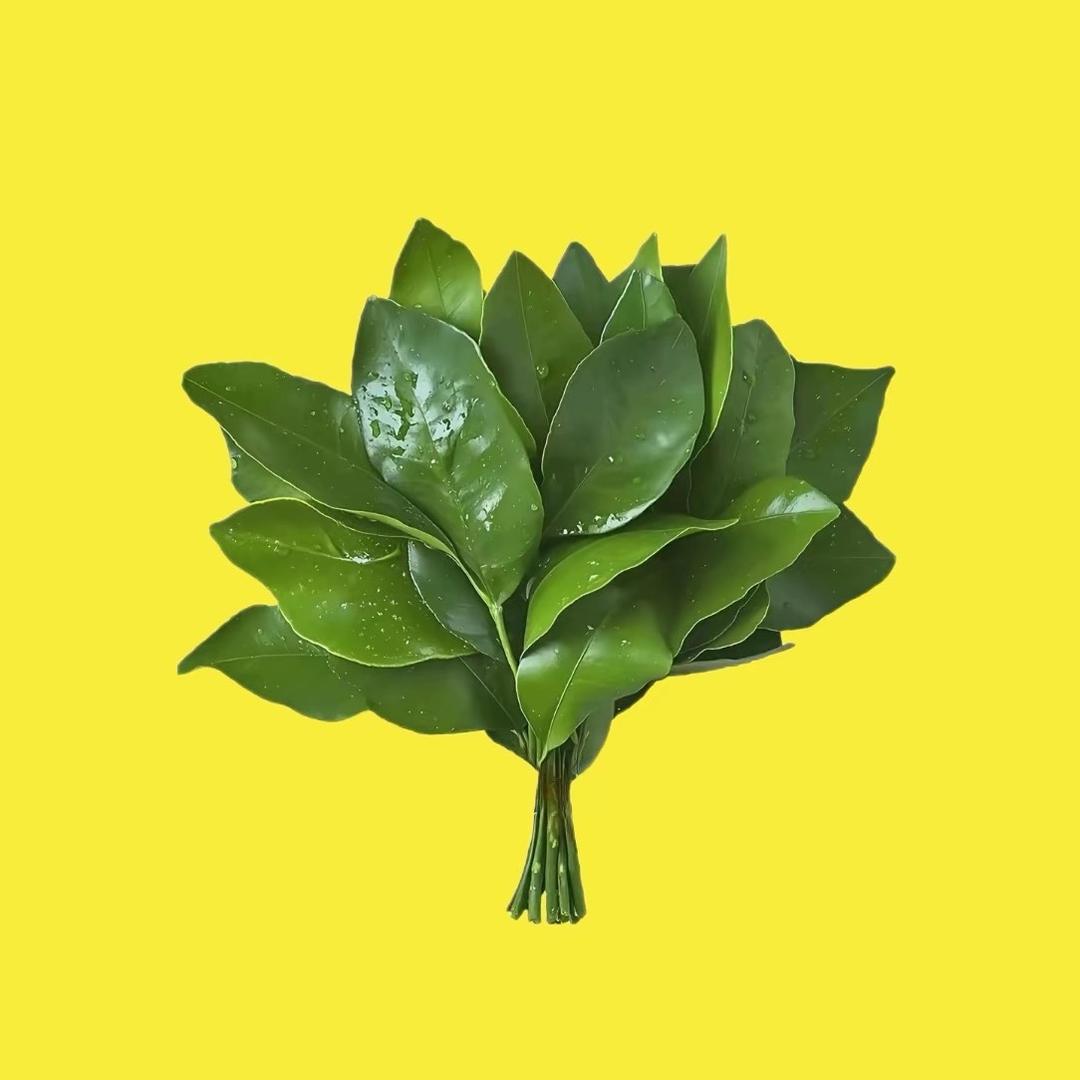 伊伊♋️
